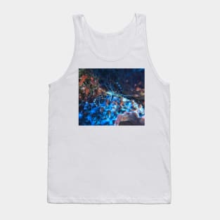 Banded Coral Shrimp at night Tank Top